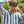 Load image into Gallery viewer, Desert Skull Patch Snapback